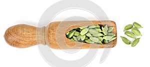 Green cardamom seeds in wooden scoop isolated on white background. Top view. lay flat