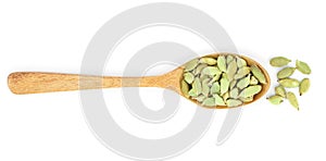 Green cardamom seeds in wooden spoon isolated on white background. Top view. lay flat