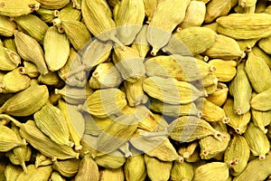 Green Cardamom Spice Texture