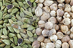 Green Cardamon and Round Siamese Cardamom