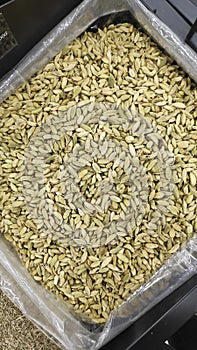 Green cardamon seeds on food market