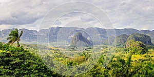 Green caribbean valley with small cuban houses and mogotes hills landscape panorama, Vinales, Pinar Del Rio, Cuba