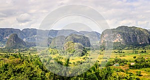 Green caribbean valley with small cuban houses and mogotes hills landscape panorama, Vinales, Pinar Del Rio, Cuba