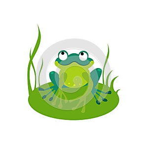 Green Cartoon Frog Vector Illustration