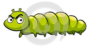 Green caterpillar with angry face