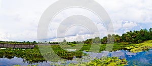 Green Cay Wetlands Panorama