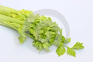 Green celery leaves isolated for a soup