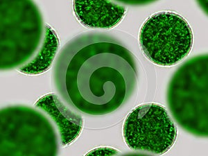 Green cells, microscopic particles. Molecules, molecular cell. Close up of a mirco organism, science and medical element photo