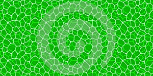 Green cells net seamless pattern. Leaf vector template background. cellular structure repeated texture. can use organic