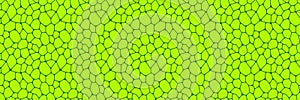 Green cells seamless pattern. Leaf structure vector illustration. Fresh greenery template background. Plant repeated