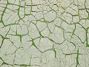 Green cement wall with cracked paint. Abstract grunge texture background. Copy space, empty template for text