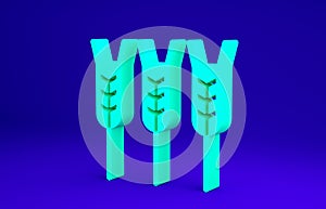 Green Cereals set with rice, wheat, corn, oats, rye, barley icon isolated on blue background. Ears of wheat bread