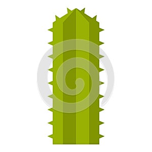 Green Cereus Candicans cactus icon isolated