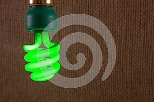 Green CFL Light Bulb Close-up