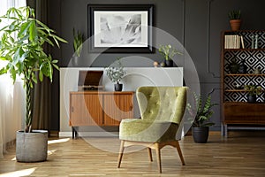 Green chair next to plant in grey living room interior with poster above wooden cabinet. Real photo