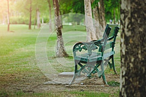 Green chairs on the lawn in the park