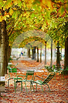 Green chairs under chestnut trees in Tuileries garden of Paris