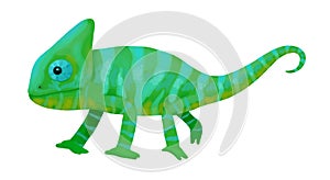 Green chameleon, colorful hand drawn digital illustration