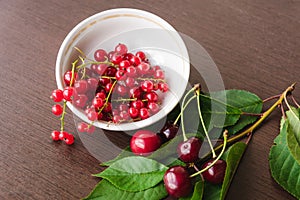 Green cherry leaves, red currant sprigs and ripe cherries in a white bowl closeup