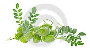 Green chickpeas in the pod with green leaves, isolated on white background. Cicer arietinum. Clipping path.