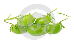 Green chickpeas in the pod, isolated on white background. Cicer arietinum. Clipping path.