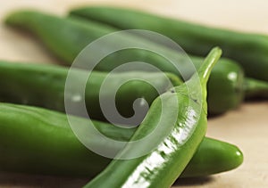 Green Chili Pepper, capsicum annuum