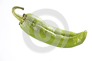 Green Chili Pepper Isolated On White
