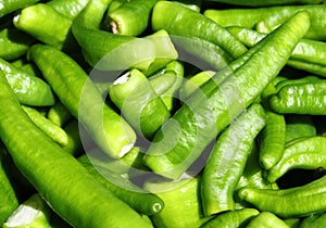 Green chili peppers photo