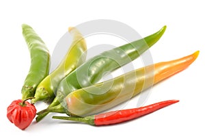 Green chili peppers and scotch bonnet