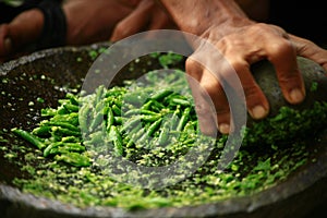 Green chilies mashing using traditional grinder made of stone