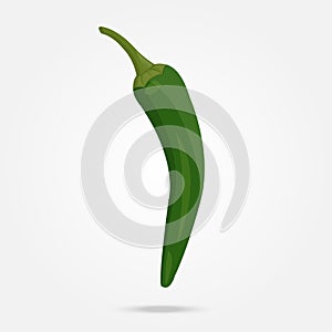 Green chilli pepper on white background