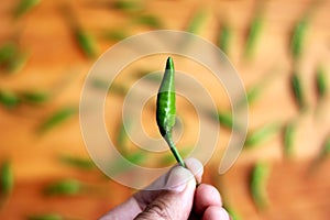 Green Chilli peppers hold by hand