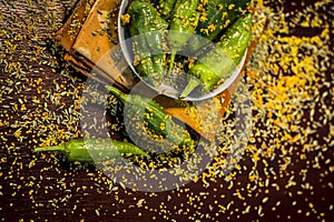 Green chilli pickle marinated in mustard seeds and mustard oil. Dark gothic style still life concept photo
