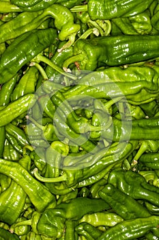 Green chillies background. Pile