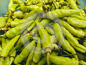Green chillies are deductively known as Capsicum frutescens. The heat of green chillies comes from a synthetic called capsaicin photo