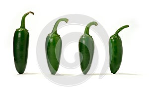 Green Chillies Panorama