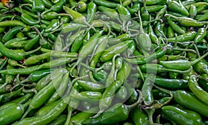Green chillis for sale piled in vegetable market photo