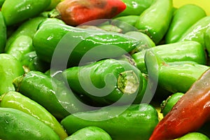 Green Chilly Peppers in basket