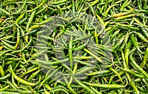 Green chilly vegitables