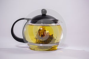 Green Chinese tea flower bud blooming in glass teapot. on white background