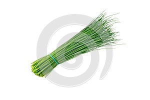 Green chives leaves bunch isolated on white. Transparent png additional format photo