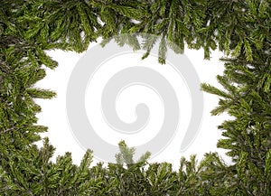 Green Christmas fir tree branches isolated on white background.