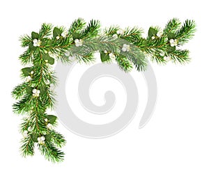 Green Christmas pine twigs and snowberries in a festive corner arrangement isolated on white