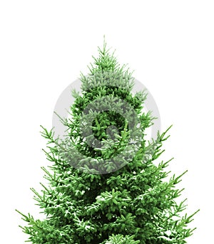Zelený vianočný stromček 