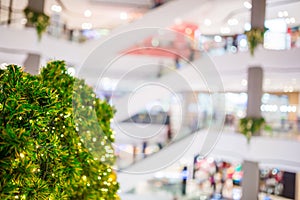 Green christmas tree with blurry department store