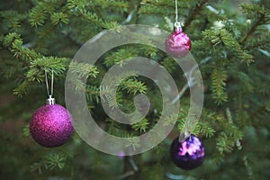 Green Christmas Tree With Colorful Ball Ornaments