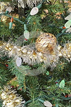 Green Christmas tree with lights and Joy ornament