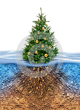 Green Christmas tree with roots beneath