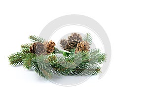 Green Christmas wreath from pine branches and pine cones isolated on white background