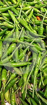 Green cilli